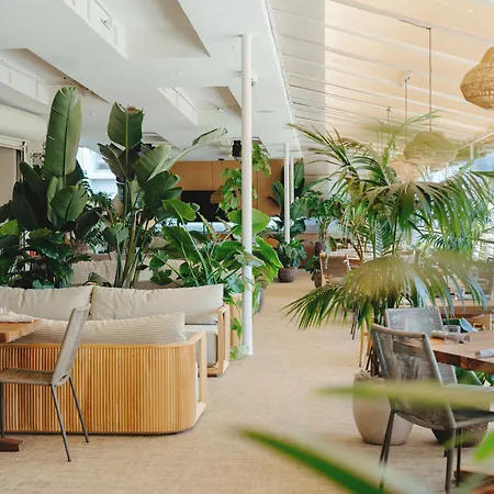 Hotel June West La, A Member Of Design Hotels-2